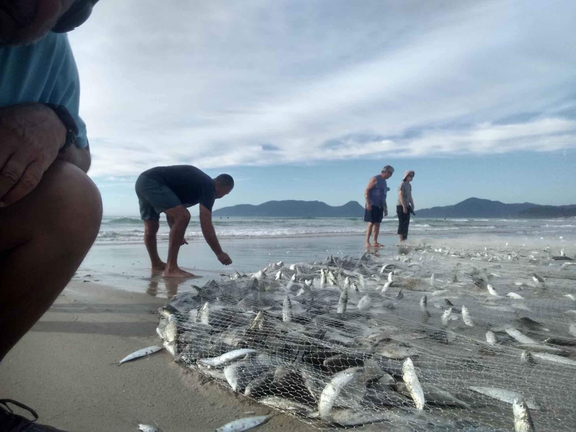 Pousada Mar&Sol Comfort Florianópolis 外观 照片